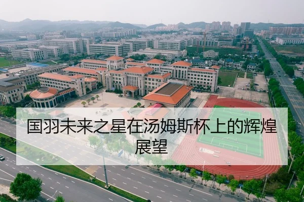 国羽未来之星在汤姆斯杯上的辉煌展望